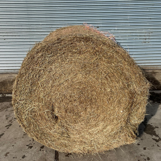 Round bale second quality hay